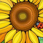 Profilbild von het-tinka