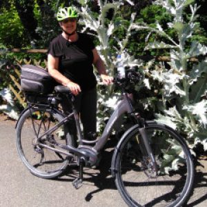 Profilbild von ibins