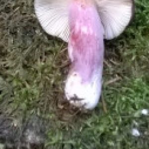 Profilbild von Kantine