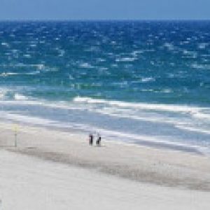 Profilbild von MaxJahn47