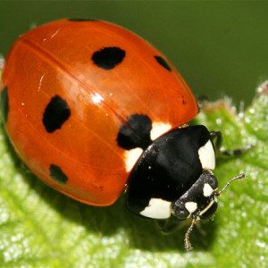 Profilbild von gabi75