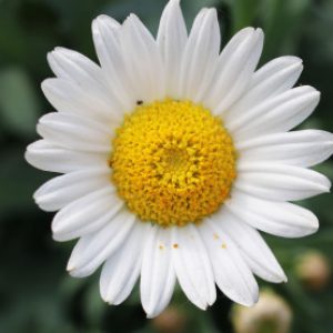 Profilbild von Mari585