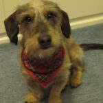 Profilbild von Glueckstag