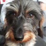 Profilbild von Glueckstag