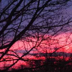 Profilbild von Ariadna313