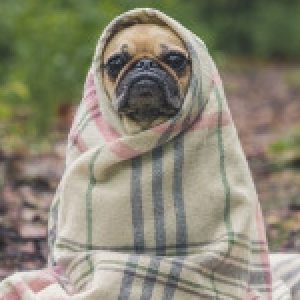 Profilbild von Siegert54