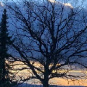 Profilbild von Ger100