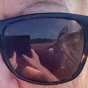 Profilbild von Sara-B