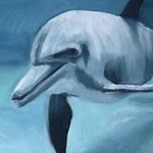 Profilbild von delphinchen