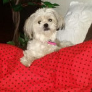 Profilbild von monsilly