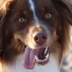 Profilbild von Sissi67