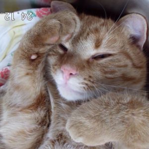 Profilbild von relax7