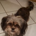 Profilbild von Marius