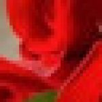 Profilbild von Brigitte35666