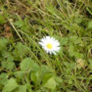 Profilbild von Hellahell