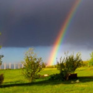 Profilbild von Miola