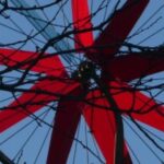 Profilbild von Putzel