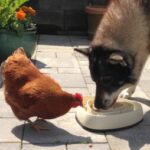 Profilbild von Elisa611