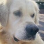 Profilbild von AnKl