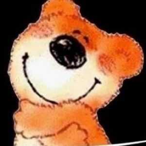 Profilbild von bingo