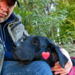 Profilbild von Hundefreund1