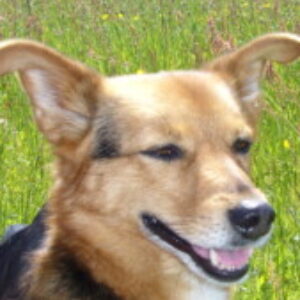 Profilbild von Elly47