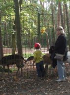 Profilbild von lavendel16