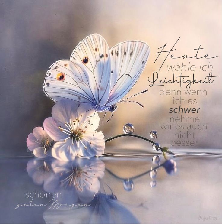 b0ace41f87293dde48df7c8940eb2529