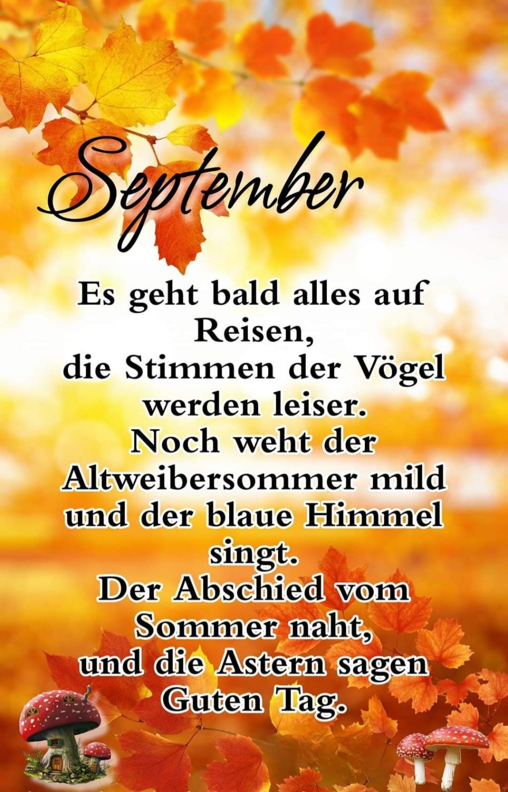 b2e0a556ed6b8d40e6ab82e7aa20673e