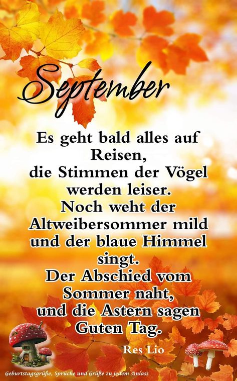 b2e0a556ed6b8d40e6ab82e7aa20673e