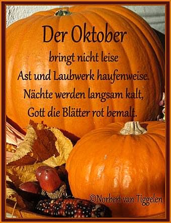 b62d1adf23db9744c814d2e94012798c