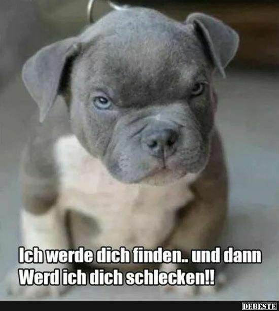 b7d75367ac89d92a4ad2955b5bef2d5e