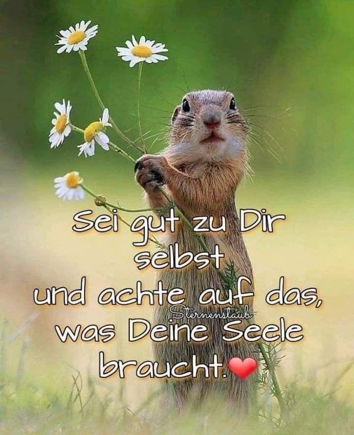 b81c506a-3b0c-4fd4-b83d-2f70d68f052d