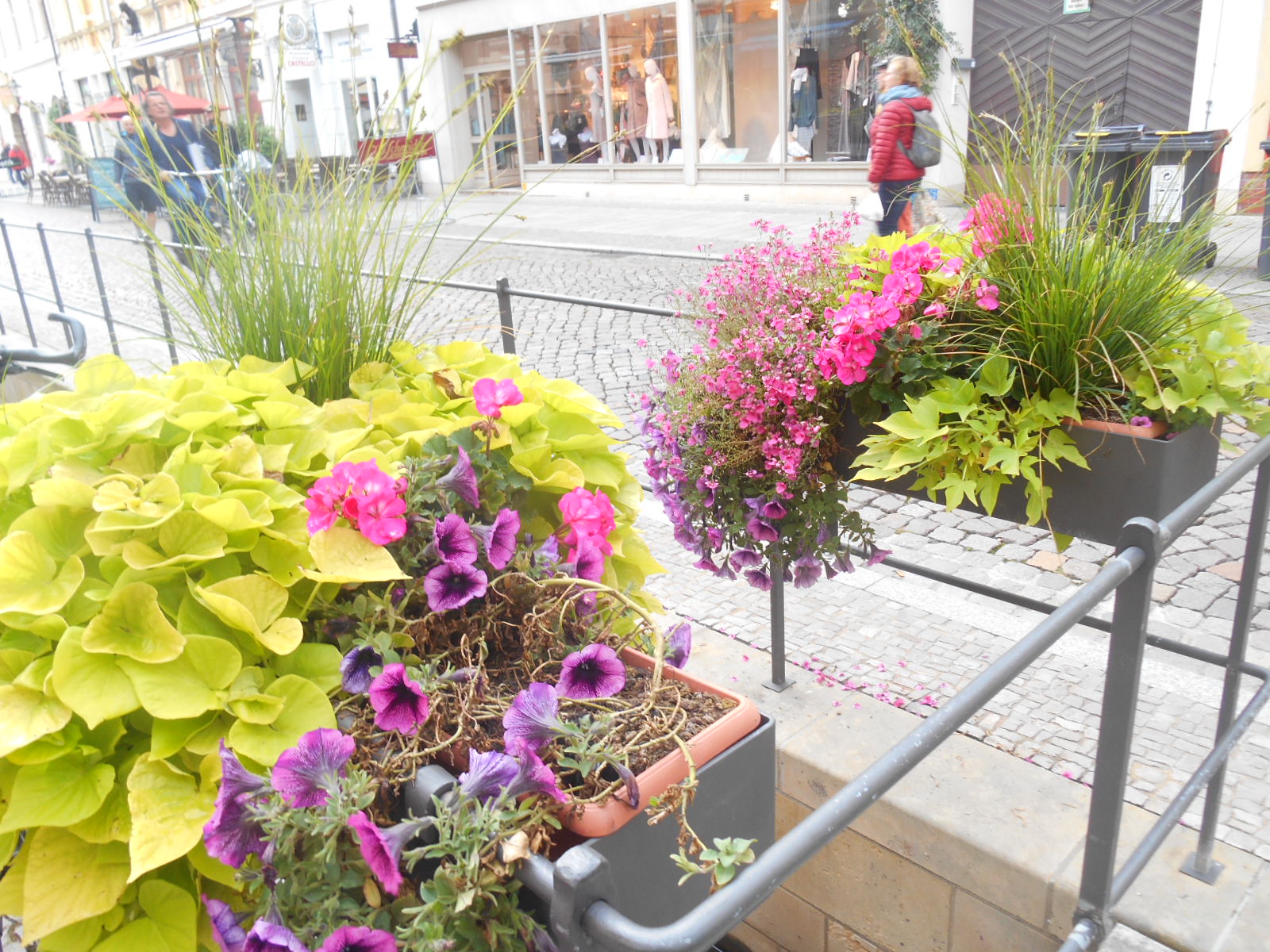 bad Klosterlausitz 2.12.2017 014