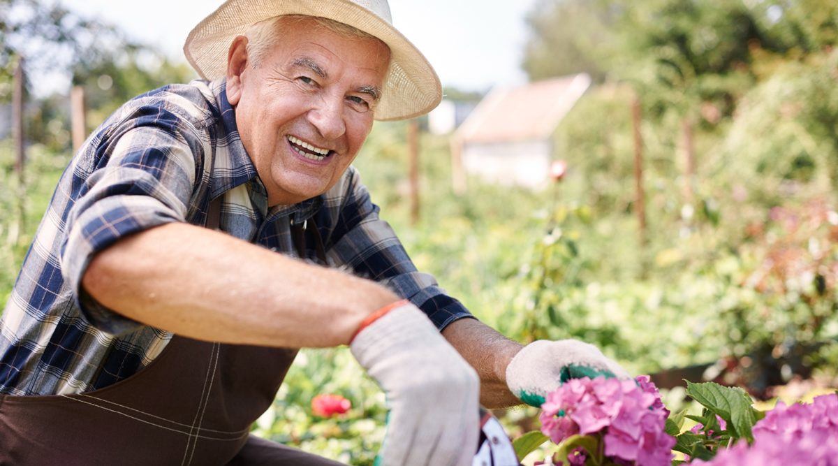 Bauerngarten anlegen