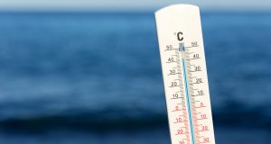 Themometer vor Natur