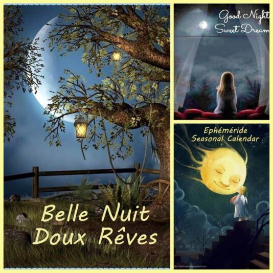 167756949_4100549936661738_2383748923322541666_n