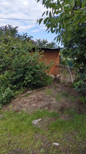 PXL_20230810_151815671