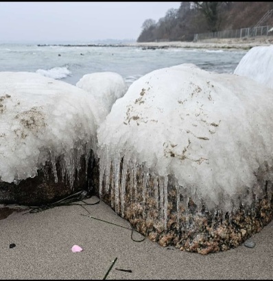 Screenshot_20260125_121307_WhatsApp