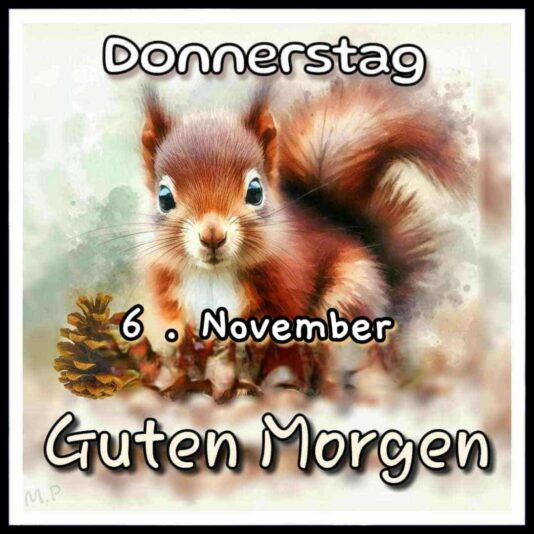 576462817_2224260421396236_7010878650569167195_n