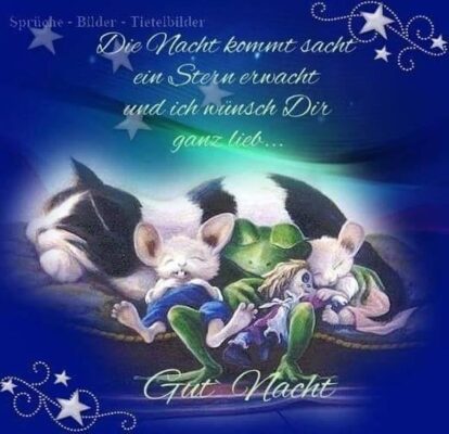 Sube-Gute-Nacht-Bilder-1