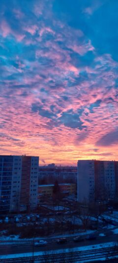 b451f5ff-aee8-46e8-8570-71285b324759