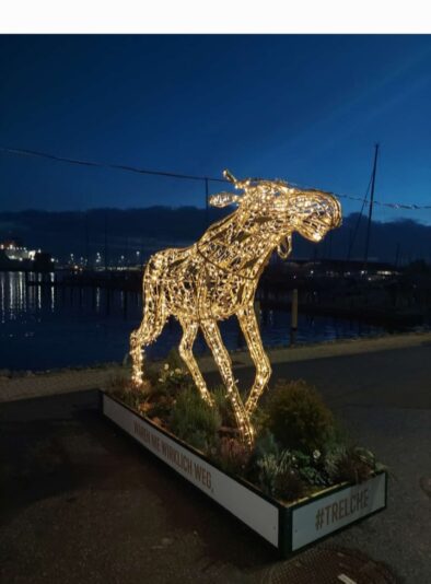 Screenshot_20251125_174121_Gallery