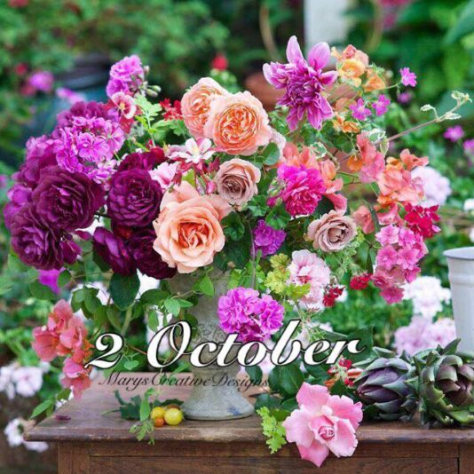 243540559_3016511075253356_7636156351480205542_n (1)