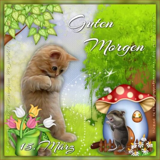 417582511_7322254321199413_4520118554811944545_n (2)