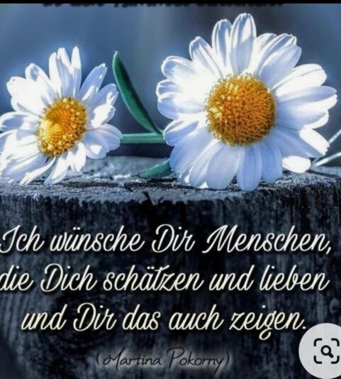 432350831_122130428222162795_8213286834086635012_n