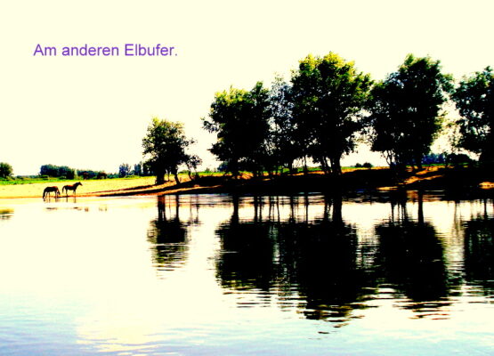 Am anderen Elbufer.