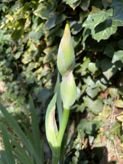 2DD529EA-7872-43FB-B73A-F55F075ACA21