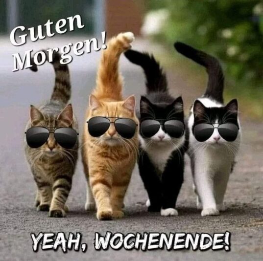 GUTEN MORGEN SUNHINE