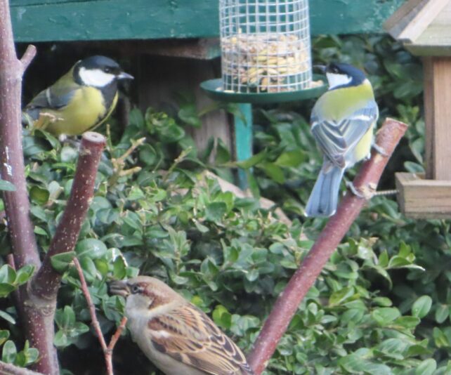 20230112124218_IMG_3896